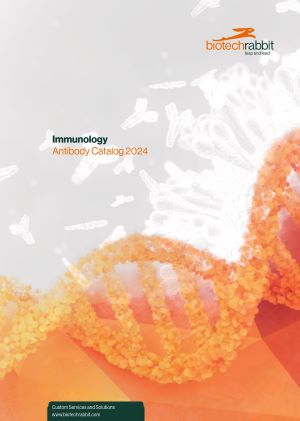 antibody_catalog