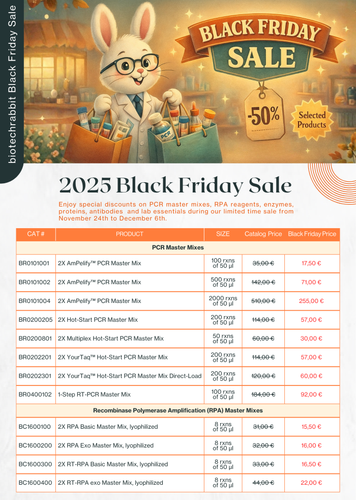 black-friday-page-1.png