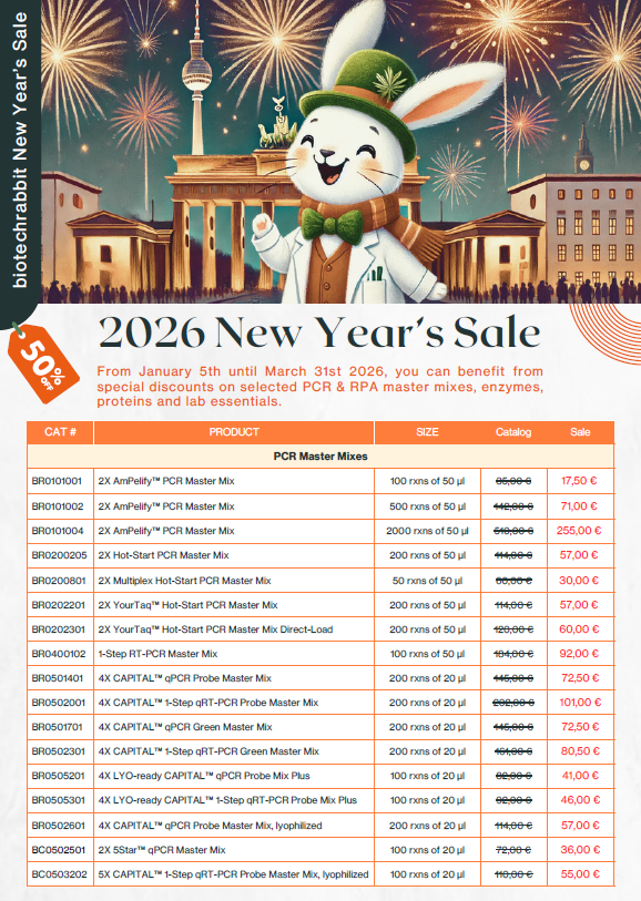 new_year_sale_p1.png